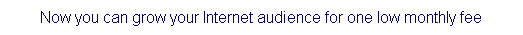 Text Box: Now you can grow your Internet audience for one low monthly fee
